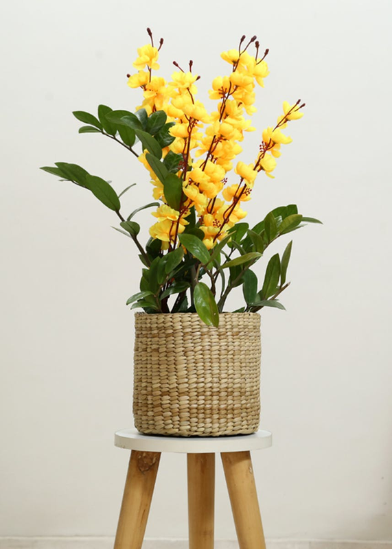 Sea Grass Handmade Planter Basket